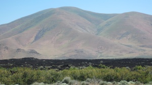 Black layer of lava with little or no vegetation after thousands of years